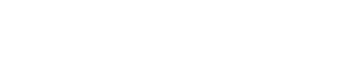 Dominion National logo